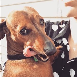 Meet your Posher, Jesse